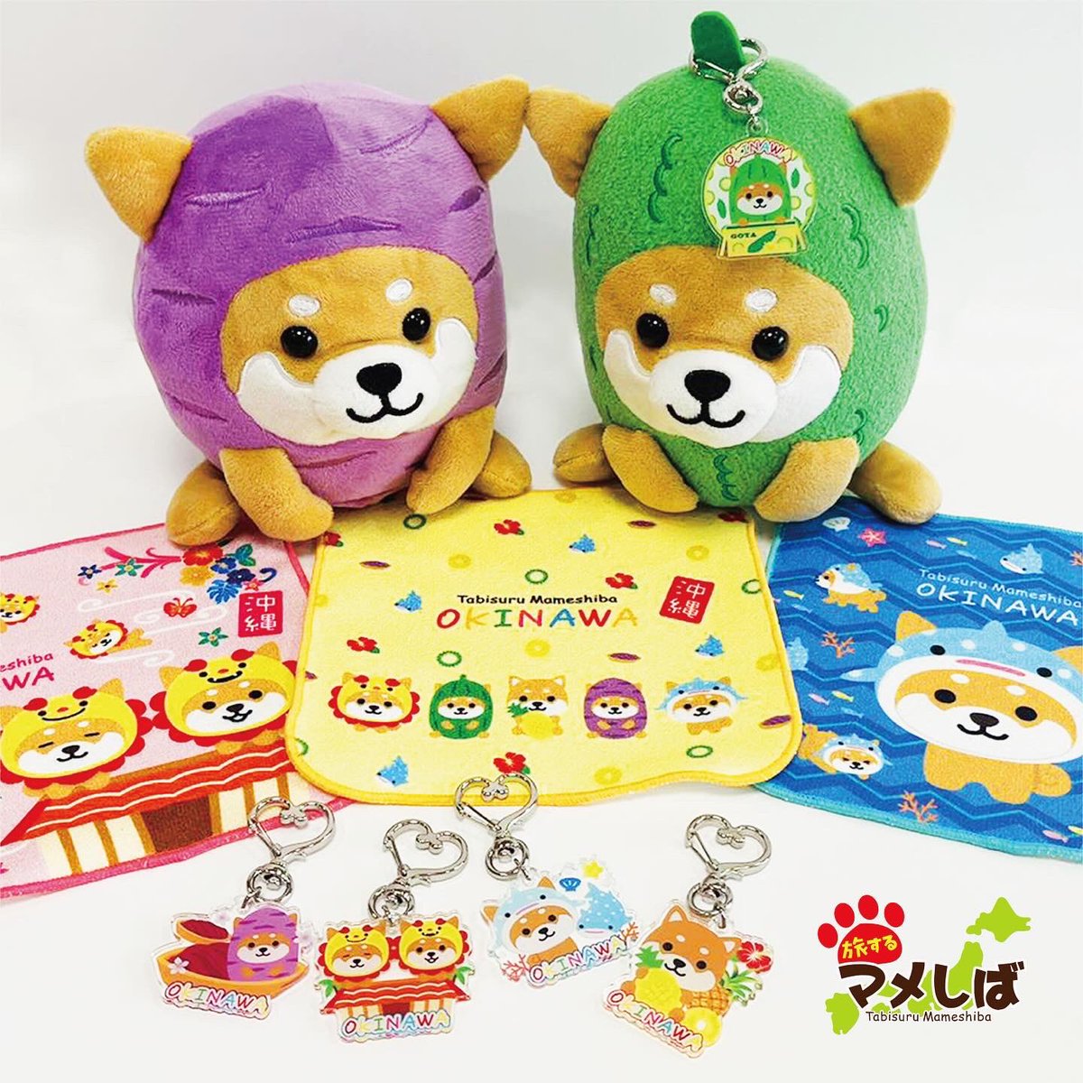 大人気の沖縄バージョンにシリーズが増えましたぁ🌺 🐾ミニ和み