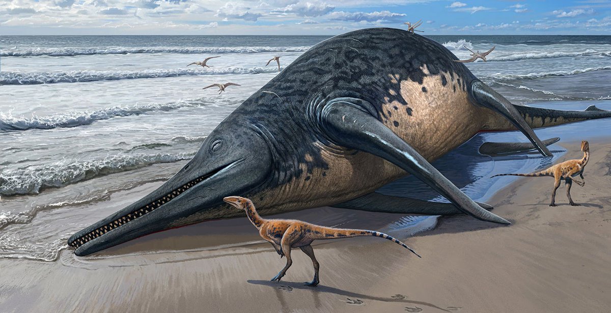 A Whale Of A Find In The UK Countryside Near Somerset Coastline.

Palaeontologist's have Discovered the Largest Marine Reptile ever found.

Fragments of two massive Jawbones from a predator that was twice the length of a city bus have been unearthed in the U.K. countryside near