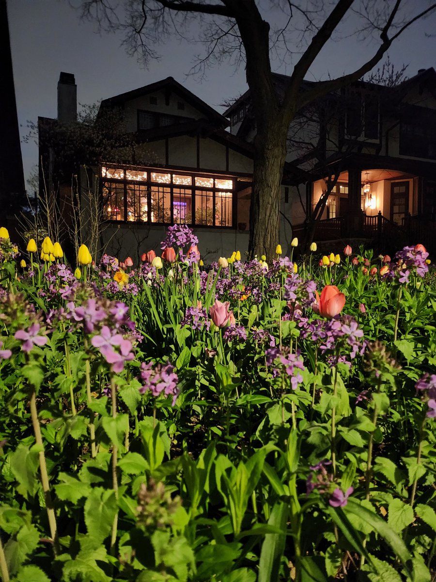 This house in my neighborhood had a yard that is all flowers and I love it