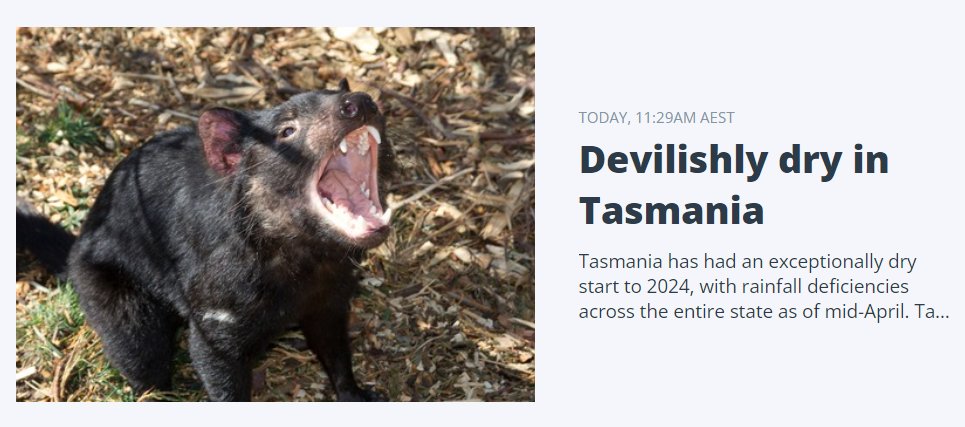 It's always fun writing headlines to images, but there's nothing fun about THE WHOLE OF TASMANIA being significantly drier than usual to date in 2024. Rainfall deficiencies are severe or even the lowest on record in many places. More in my story weatherzone.com.au/news/devilishl…