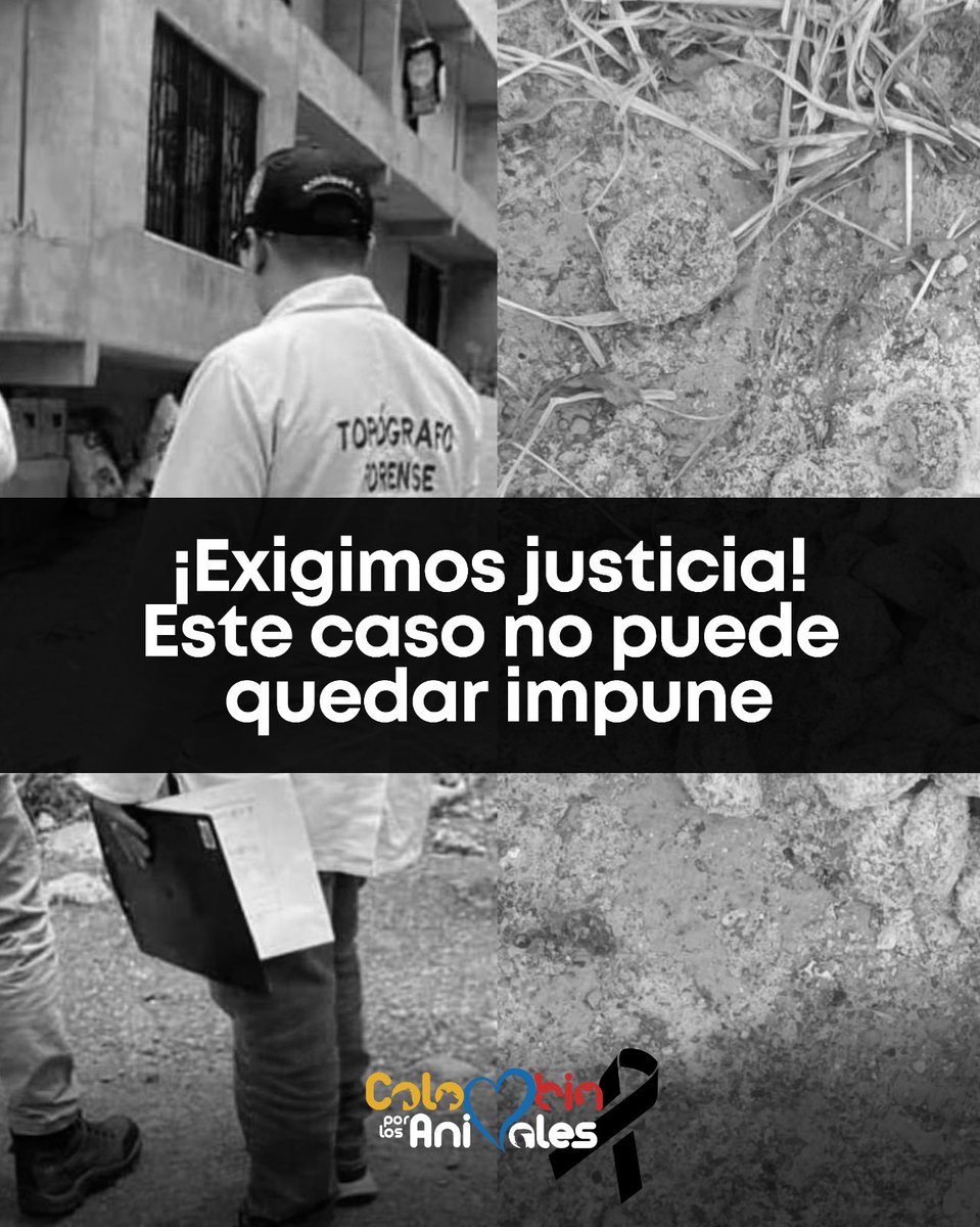 JuanJimenezLara's tweet photo. ¡Indignante! 😭💔 Hoy envenenaron a 20 perros en Popayán, 13 de ellos murieron y los otros están siendo atendidos en clínicas veterinarias 😭

Exigimos justicia, ¡le pedimos a @FiscaliaCol que este caso no quede impune! ❌💔 https://t.co/Cwor565Emk