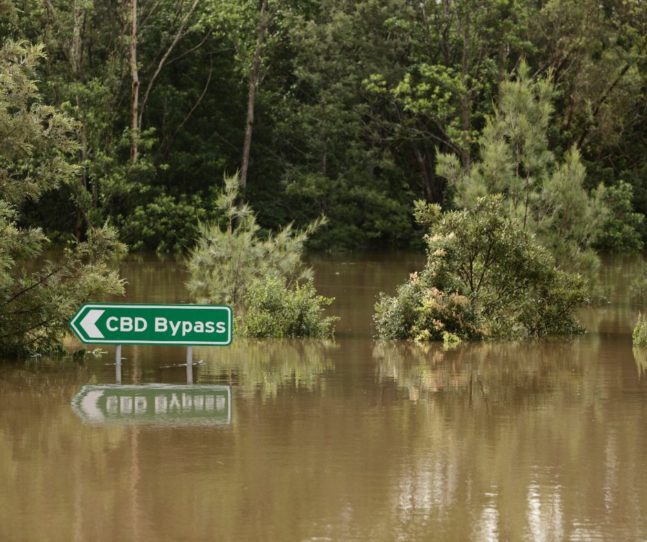 Affected by flooding in New South Wales, or have clients who are? You can find flood assistance resources via @_NCOSS_ here: ncoss.org.au/sector-hub/sec… #Flooding #CommunitySupport