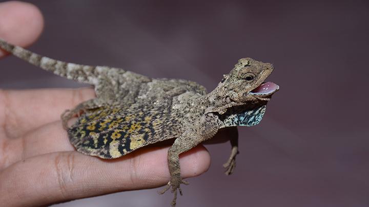 Aripp1nya's tweet photo. @PopSci https://t.co/fkTyJRhncm