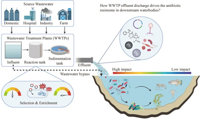 Mini review: The impact of wastewater treatment plant effluent discharge on antibiotic resistome in downstream aquatic environments. Explore the implications for antibiotic resistance and environmental health. #WastewaterTreatment #AntibioticResistance 🦠
link.springer.com/article/10.100…