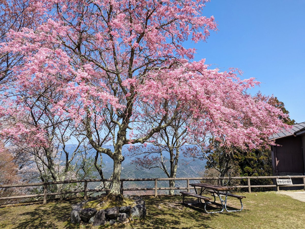 camelliakyoto's tweet photo. 🔥🍆THE 7 WONDERS OF MT. HIEI🦶🐍

Like many sites in Kyōto, Mt. Hiei has a curious collection of "7 Wonders" (比叡山七不思議).

Here's some previous lists...
🐉Eikan-dō⤵️
https://t.co/lAgDfrdnOC

🪙Kinkaku-ji⤵️
https://t.co/qXFfUo0jbi

👹Yasaka-jinja⤵️
https://t.co/unpzB2rZAA https://t.co/9DB5RgKLZG