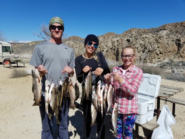 Yeah…we just catch Fish! Typical picture of my nephews and Nieces carting on the family tradition of expertise in angling! Just sayin’