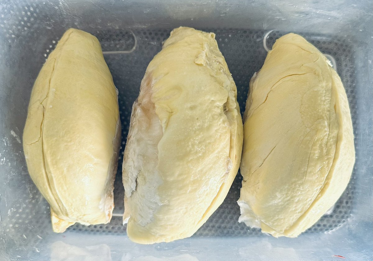 สาธิต๑๐๑ tweet media