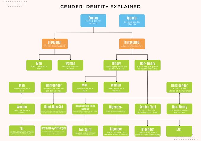 I made this catalogue as an educational tool to give a basic overview of gender identity and I think<a href="/tag/newprofilepic"class="tags"><span>#newprofilepic</span></a>