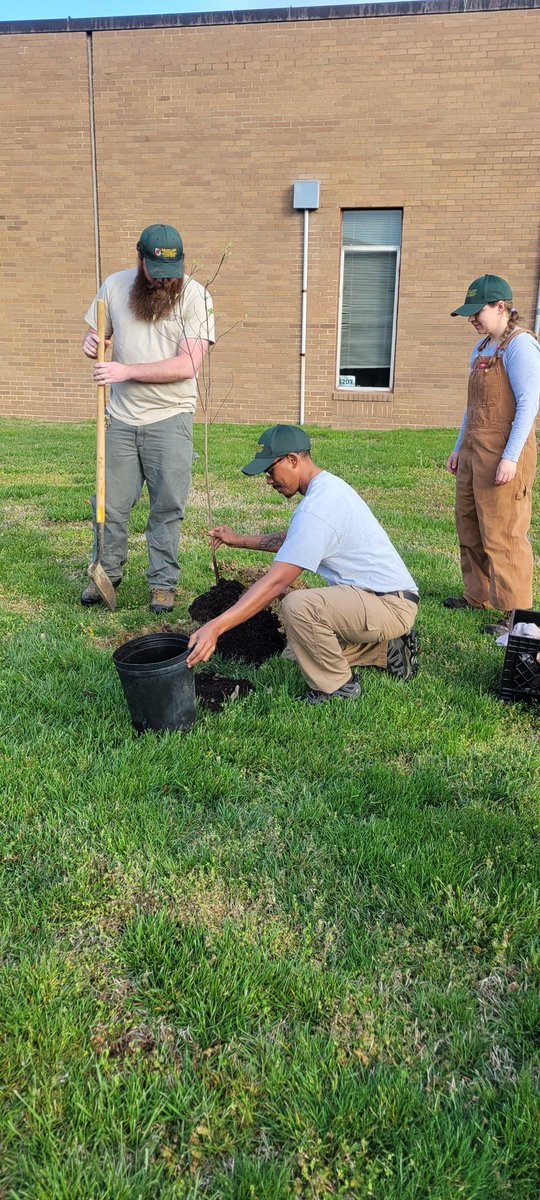 nanjemoycreek's tweet photo. To continue the CCPS Reforestation Project, 15 native trees were planted on campus. About 35 students and 10 staff members made short work of the task! @StethemCenter @CCPS @CCPS_Science @NavarroSupt #MDDNR #forestry #trees #CleanAir https://t.co/97PodA6l6z