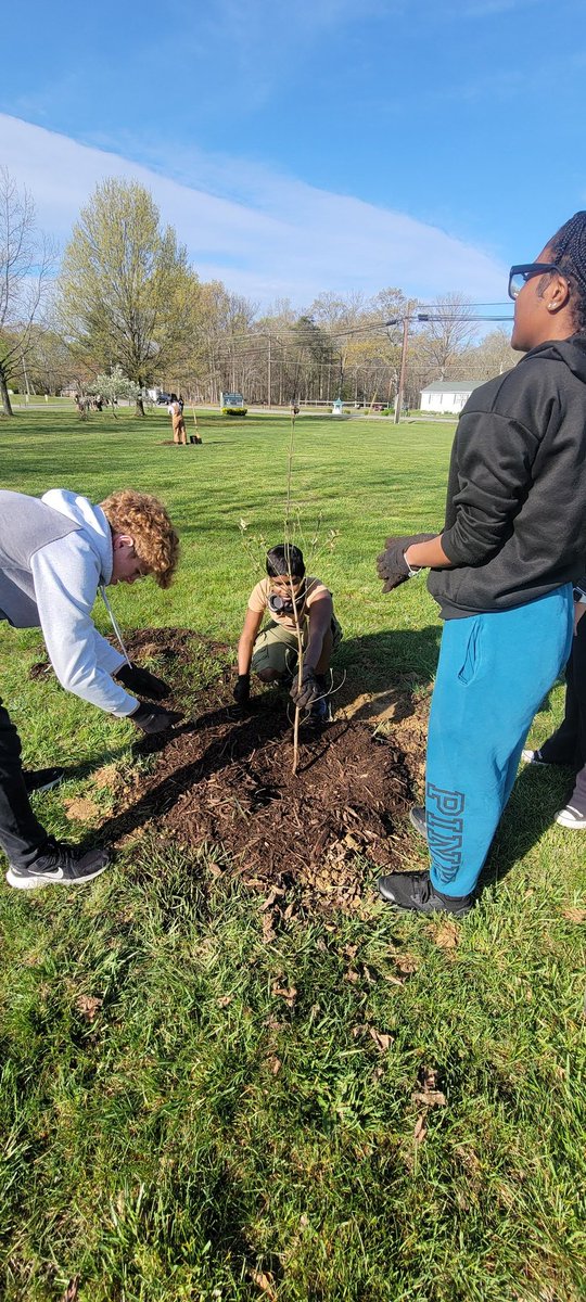 nanjemoycreek's tweet photo. To continue the CCPS Reforestation Project, 15 native trees were planted on campus. About 35 students and 10 staff members made short work of the task! @StethemCenter @CCPS @CCPS_Science @NavarroSupt #MDDNR #forestry #trees #CleanAir https://t.co/97PodA6l6z