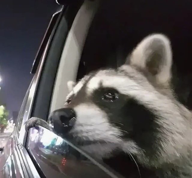 if you adore me, why do you ignore me