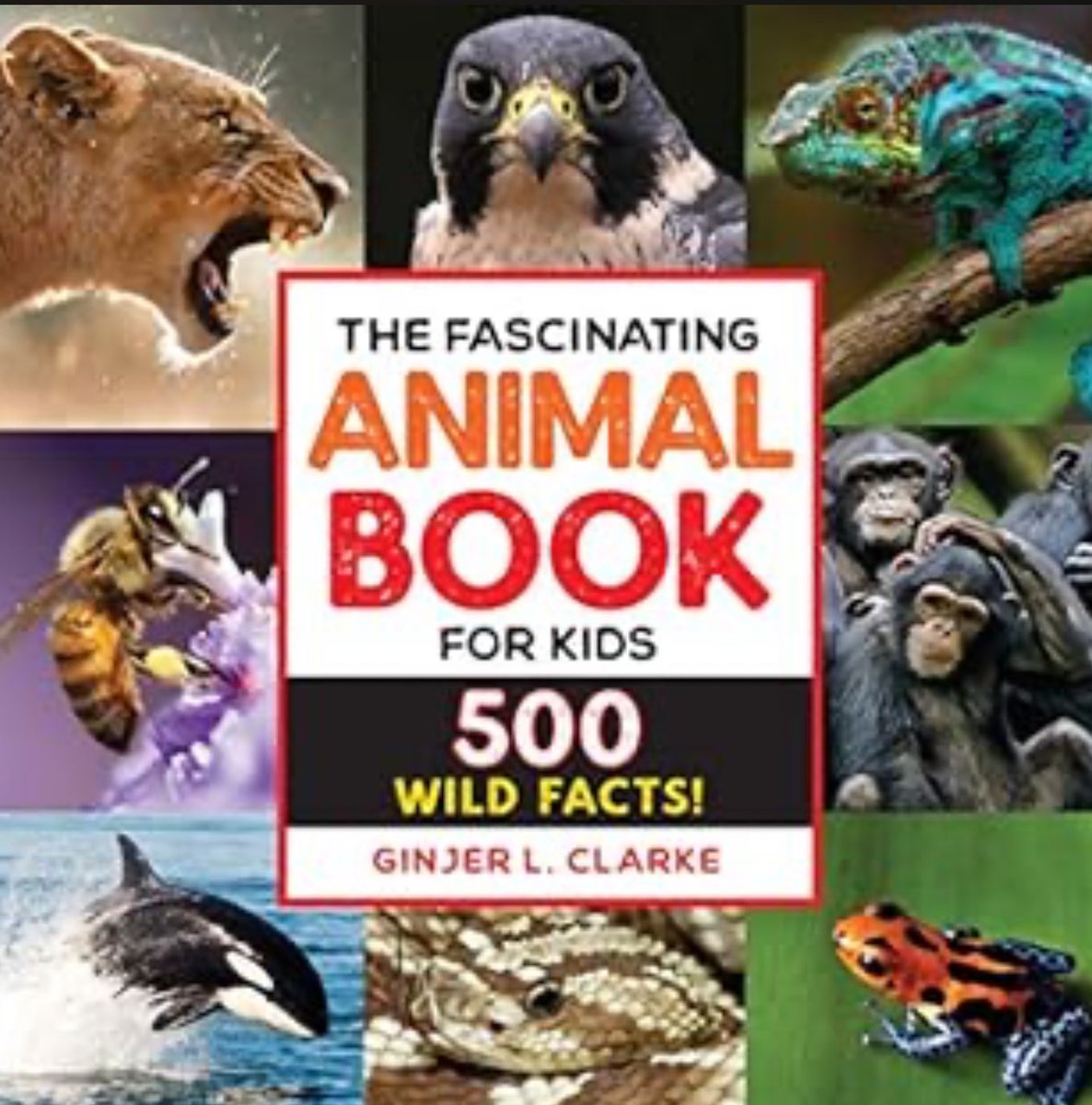 If you write a book with fascinating animal pictures and wild facts, I can guarantee it is destined to be a winner with kids. I can’t wait to put this book in the hands of students! #bookposse @SBKSLibrary #ginjerlclarke