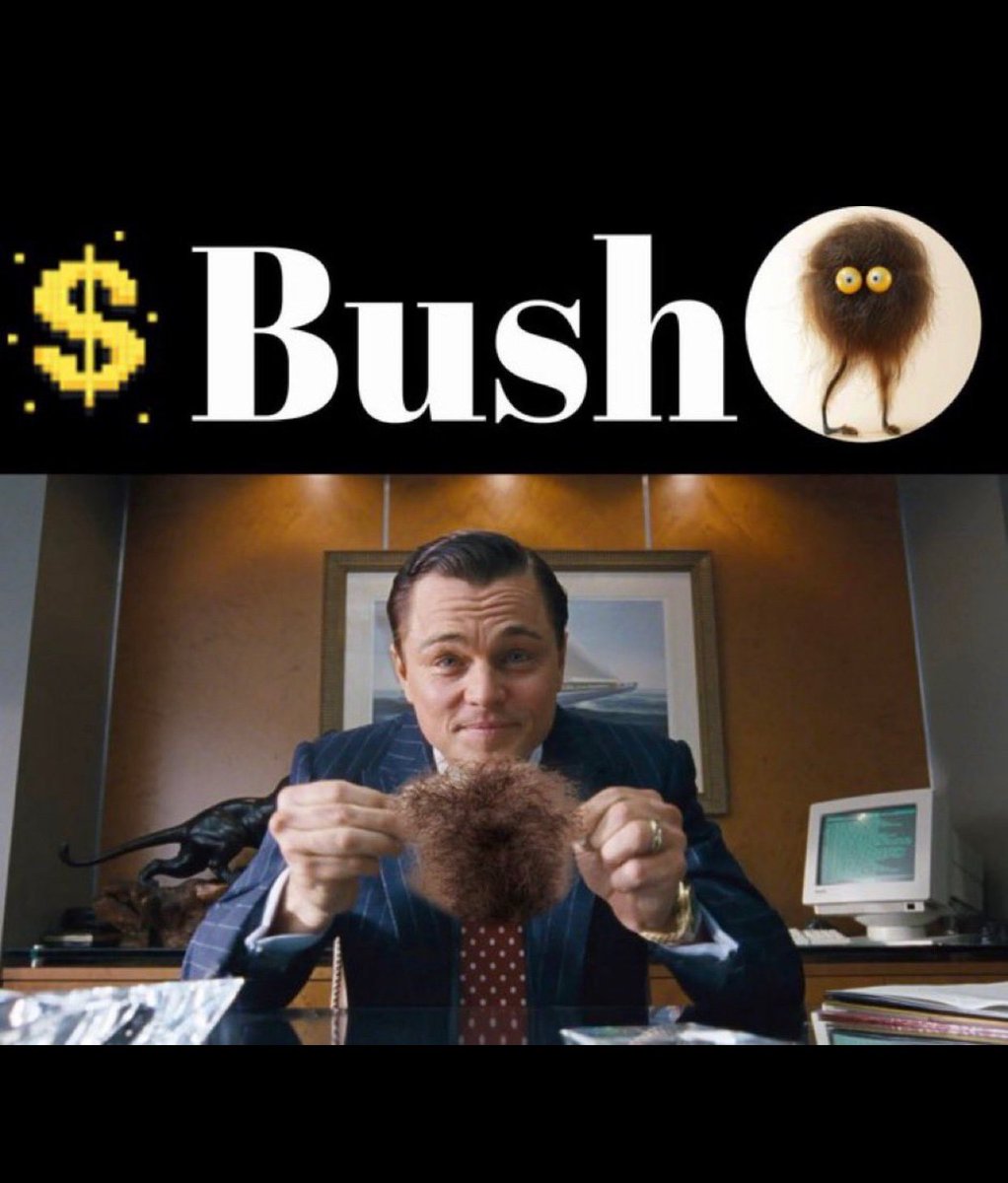 otakuwithheart's tweet photo. @SolanaBush Being the best $BUSH you can be is the best feeling ever
@SolanaBush we train you to be a better $BUSH Donโt go through life being a sloppy $BUSH Being the Bushiest Bush is a great way to live
WE CALL IT BEING THE $BUSH @SolanaBush #BeTheBush @solanabush
#SolanaCommunity https://t.co/LdQJGIkDXk