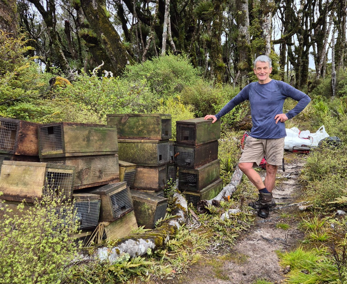 Replacing traps for a kiwi-friendly future. The Remutaka Conservation Trust is replacing predator traps across their 7500-hectare pest control network in southern Remutaka Forest. Read more here: bit.ly/3vYUTcu