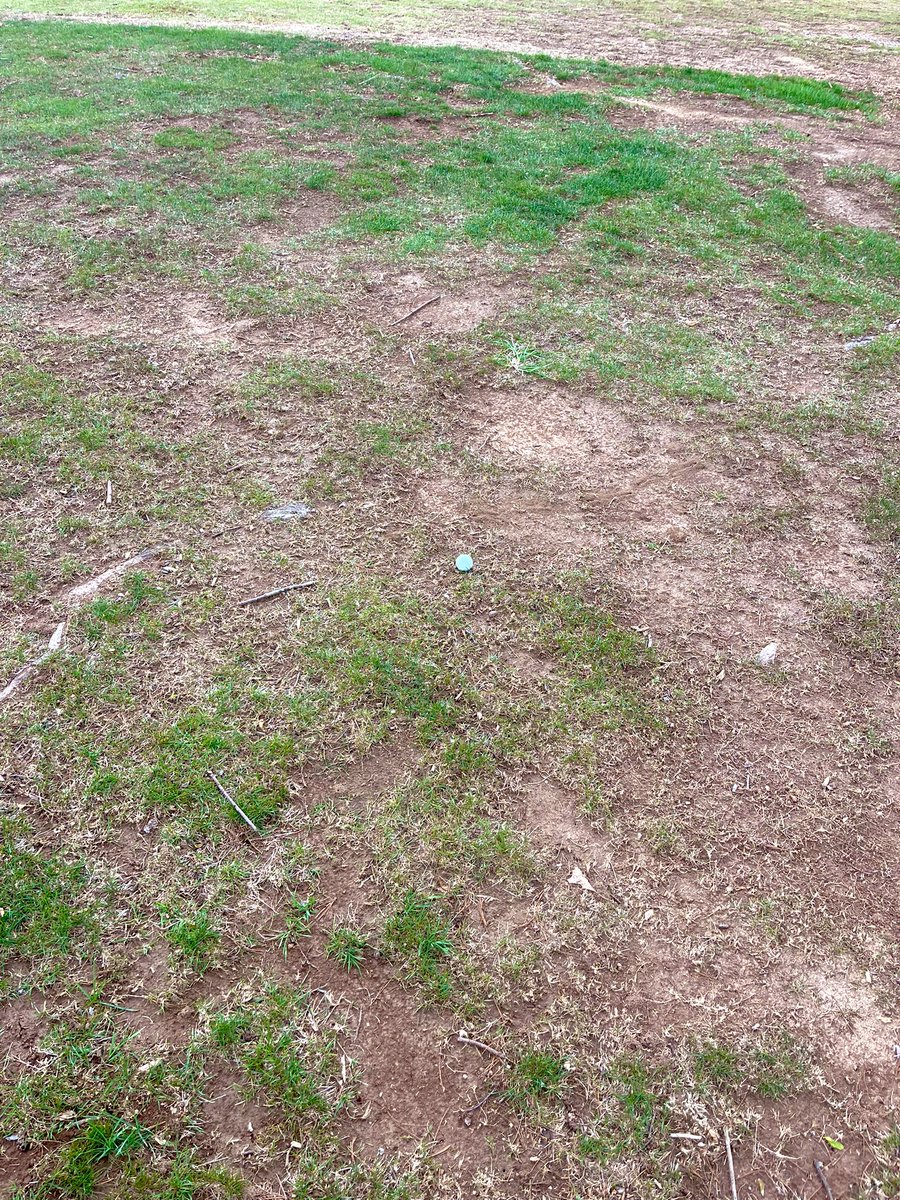 Something about playing it down on courses with more dirt than grass finds a way to humble ya