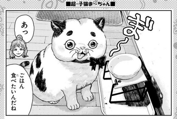 "住みにごり"も手伝ってくれているキャットタング鈴原さんの新連載が今日発売の少年チャンピオンからはじまっていた。『超・子猫ま゛～ちゃん』めっちゃかわいい。 