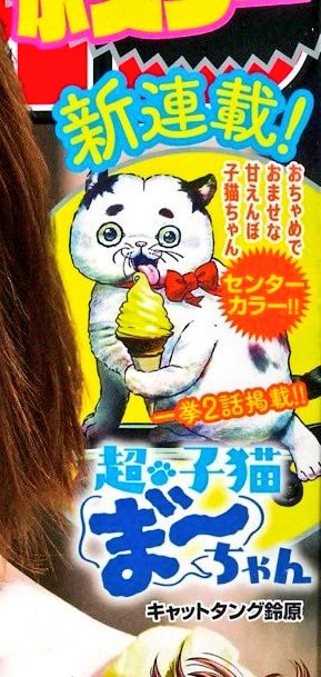"住みにごり"も手伝ってくれているキャットタング鈴原さんの新連載が今日発売の少年チャンピオンからはじまっていた。『超・子猫ま゛～ちゃん』めっちゃかわいい。 