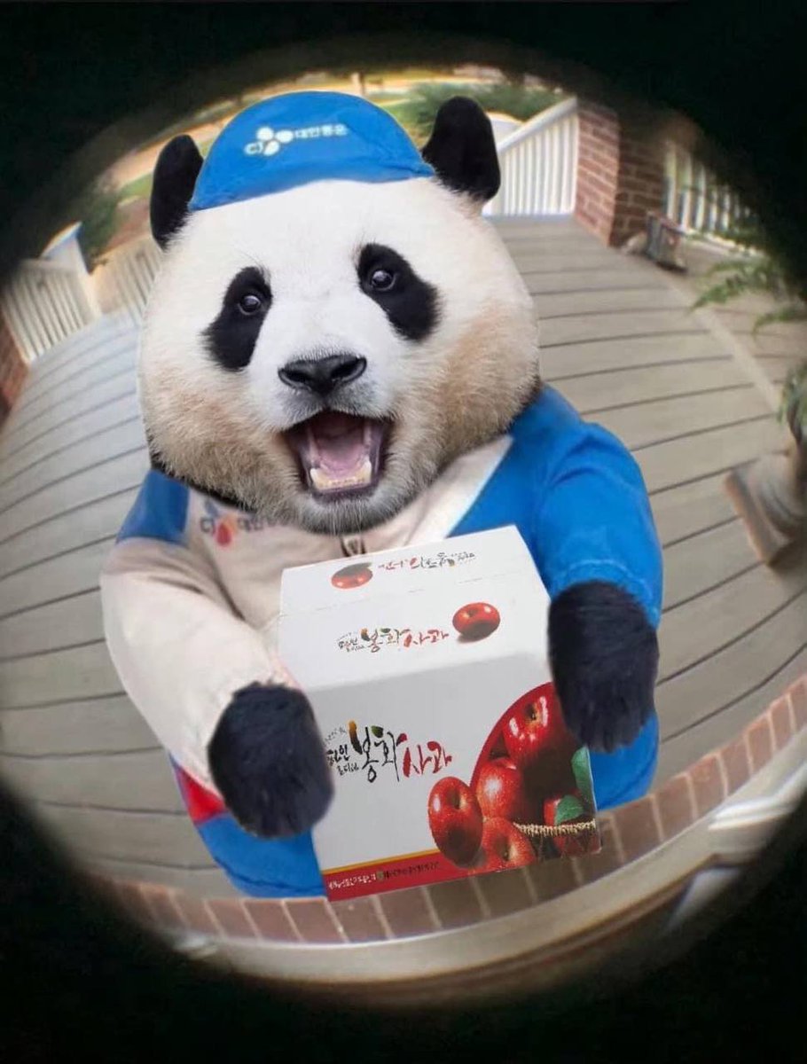 PANDA COIN (@pandacoin_panda) / Posts / X