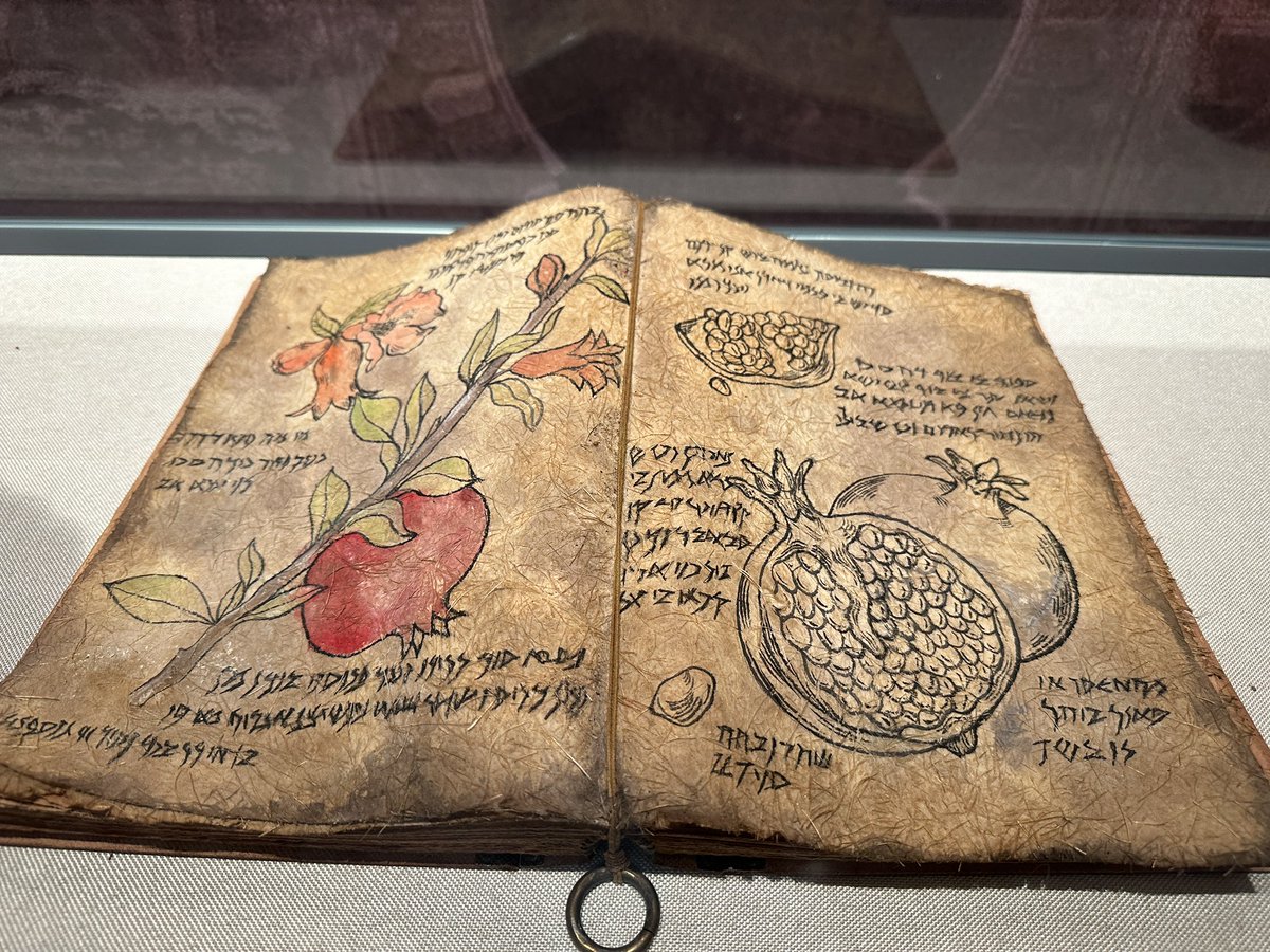 0xRealChris's tweet photo. An ancient book about pomegranates. https://t.co/SzRBlvMw0X