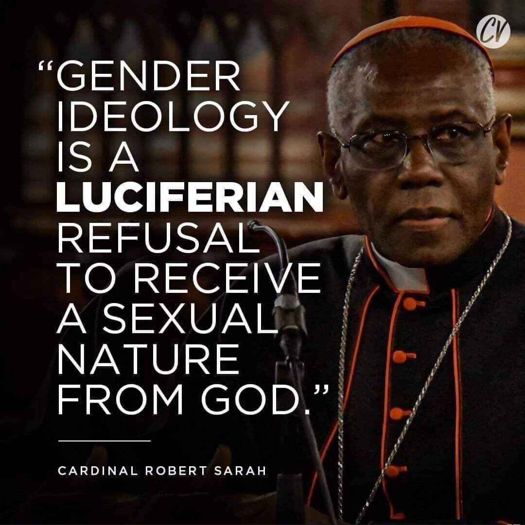 This man should be pope. 👇