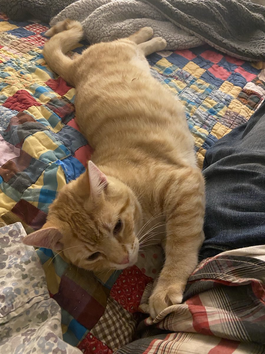 Shannon Minter tweet media