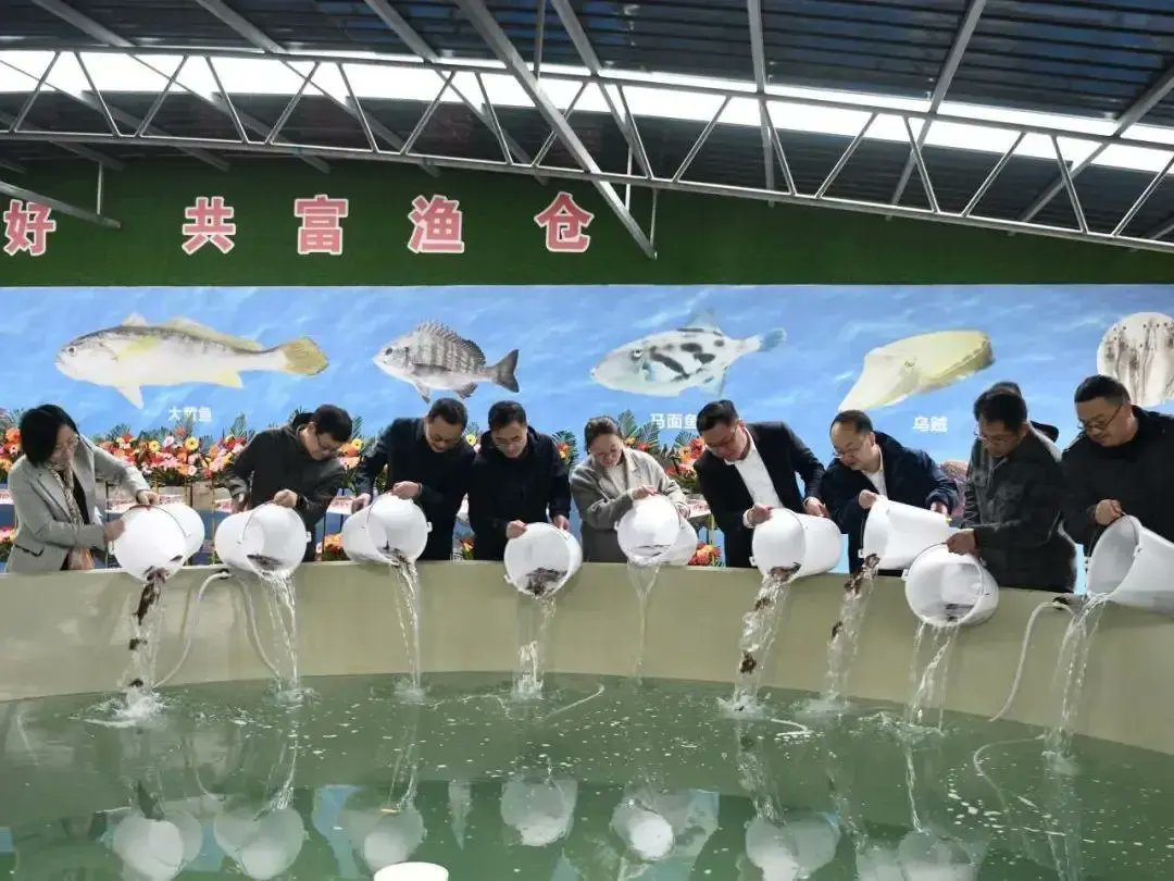 Did you know there's a 'land-based #fishery ' in Huanglong Island, Shengsi? The Da'ao Yuzhenxian Aquaculture Base opened on April 8. With 10 water tanks, it aims for an annual output value of 10 to 15 million yuan. #sea #marine