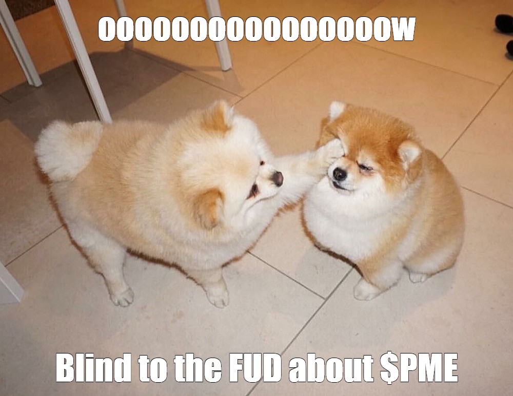 What's the biggest #FUD that comes to <a href="/DogePome/">DogePome</a> ?

$PME #memecoins #Memecoin2024 #dogecoin #dogearmy