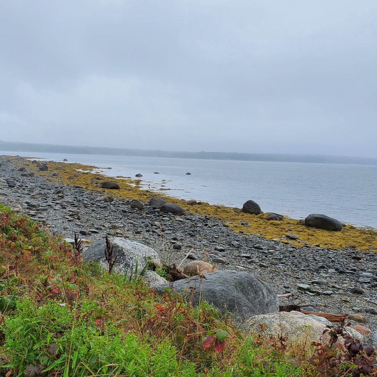 ARealGirlReview's tweet image. Happy Glampers🏕
Acadia National Park in Maine is one of the top tourist destinations in the world, one of the reasons they call it #Vacationland. @undercanvasofficial
Each tent comes with its own shower/restroom. There's a restaurant, a communal area to read, play board games