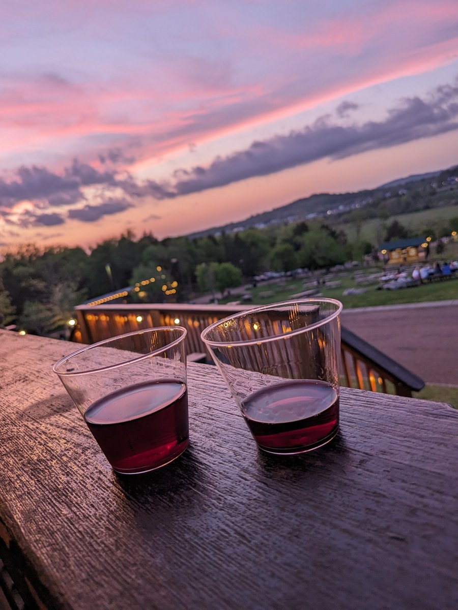 A wise man by the name of <a href="/tobykeith/">Toby Keith</a> once said toast every sunset with #wine 

#sunset #sky #tn