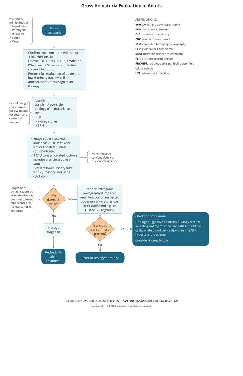 Gross hematuria evaluation algorithm.

#Dynamed