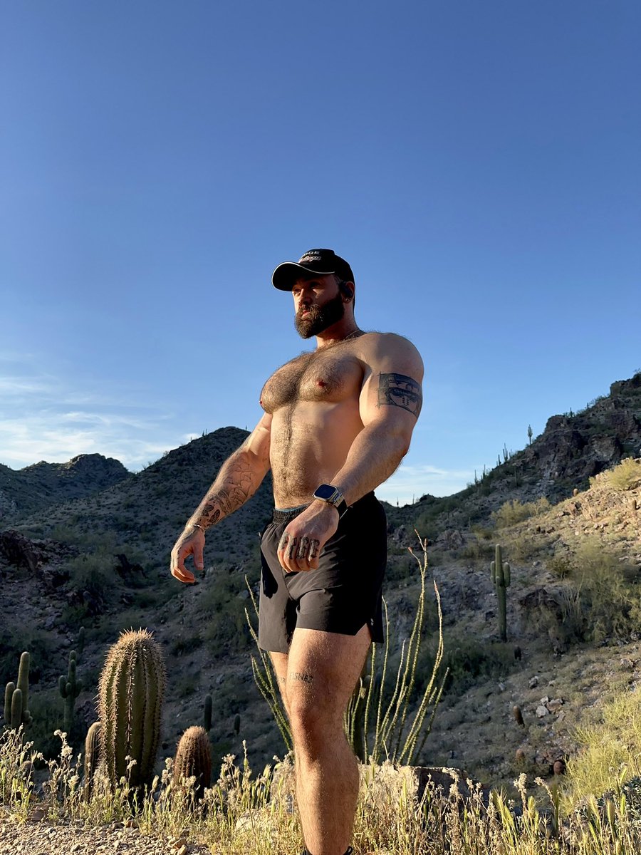 ALAN WOLFE tweet media