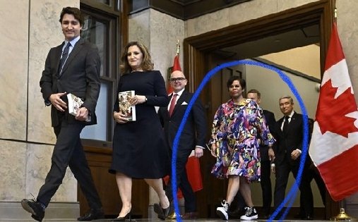 In case you missed it, ....not sure how. Here is the outfit Marci Ien, Minister of Women, decided to wear for #Budget2024 Thoughts?