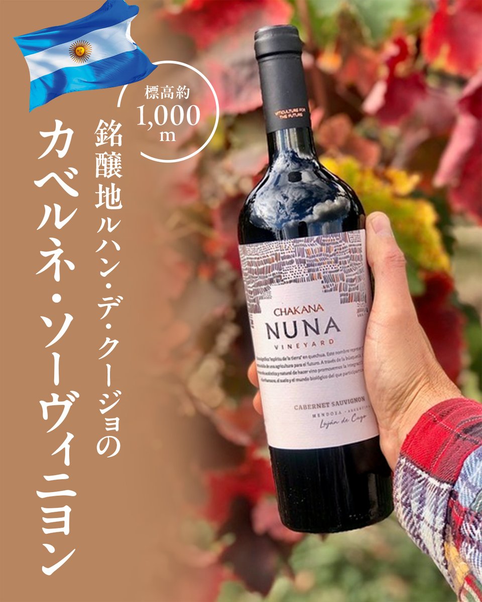 155/PAULNIRVANAニルヴァーナ　シカリオカルテル 155/PAULNIRVANAニルヴァーナ シカリオカルテル 155/PAULNIRVANA