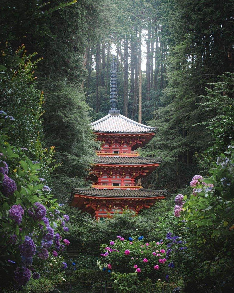Gansen-ji, Kizugawa in Kyoto prefecture 🏞️✨ Explore the serene beauty of this hidden gem in Kyoto. #GansenJi #Kizugawa #KyotoPrefecture #JapanTravel #ExploreKyoto #ScenicViews #NatureBeauty #TravelGoals #HiddenGem #KyotoAttractions