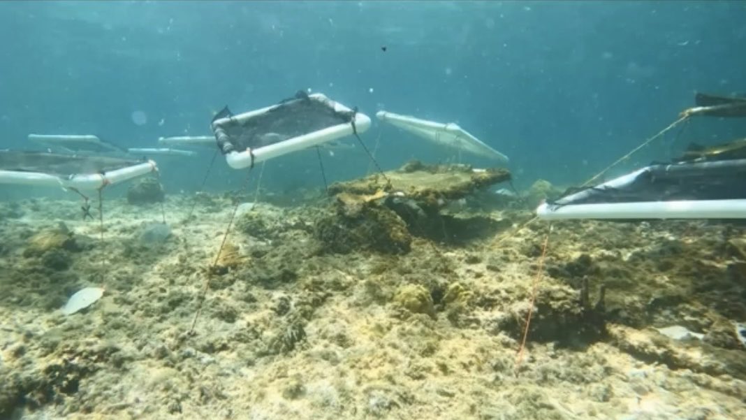 Prevention is betting than cure: How many of these shading devices would you need to cover one hectare (10,000 sq m) of coral reef? And how many to shade 1.1 million hectares of reef habitat on the Great Barr Reef? Do the maths.