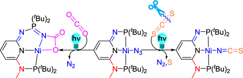 Ligand-Dominated Activation of CO2 and CS2 by the Putative Nickel Phosphiniminato Intermediates | Inorganic Chemistry pubs.acs.org/doi/10.1021/ac… Yao, Luo, Huang, and co-workers @InorgChem #nickel #phosphiniminato #pincer #PN3P #azido #CO2 #CS2 #activation #DFT