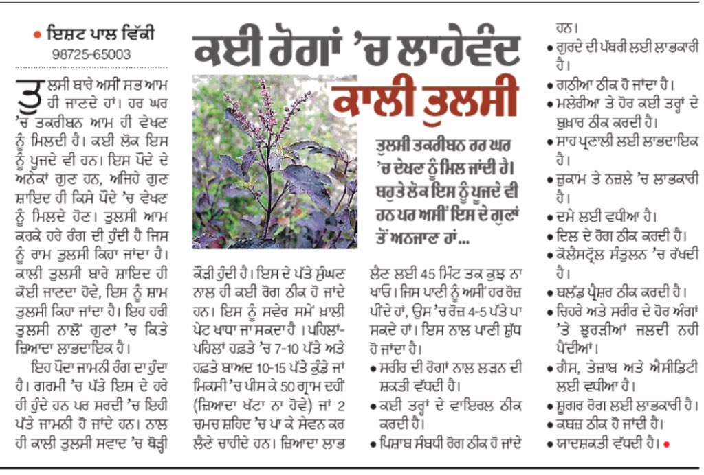 ishatpal's tweet photo. ਅੱਜ ਪੰਜਾਬੀ ਜਾਗਰਣ ਅਖ਼ਬਾਰ ‘ਚ #article on #holy #basil #india #Ayurveda https://t.co/FreFHrehOw