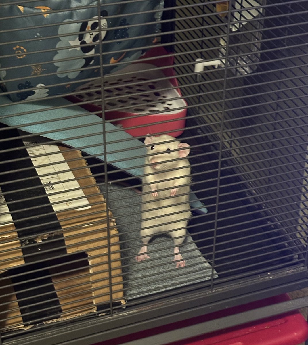 What a delightful gentleman!