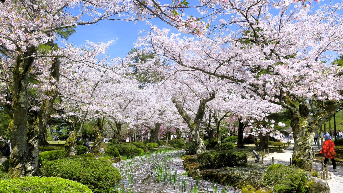 Tokyonobo tweet media