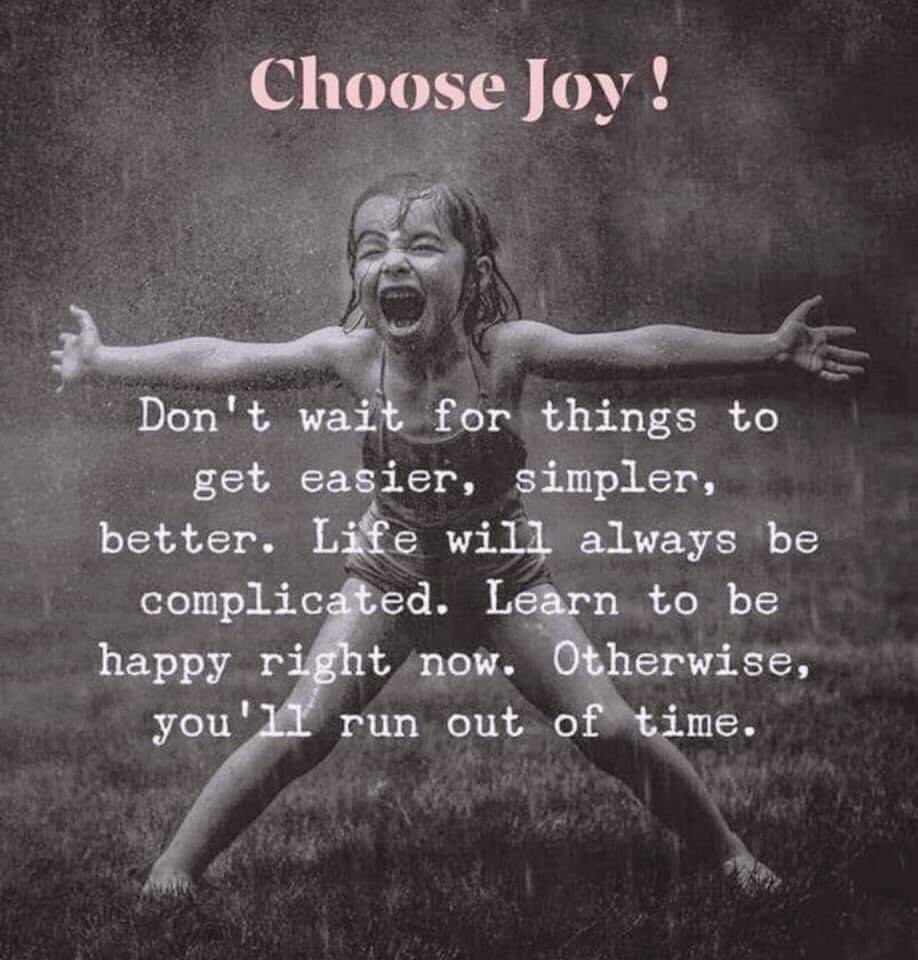 Good night my dear friends 💖💕🌷Rest up, Trump is back in court tomorrow! Remember to choose joy! 🕊️✌️