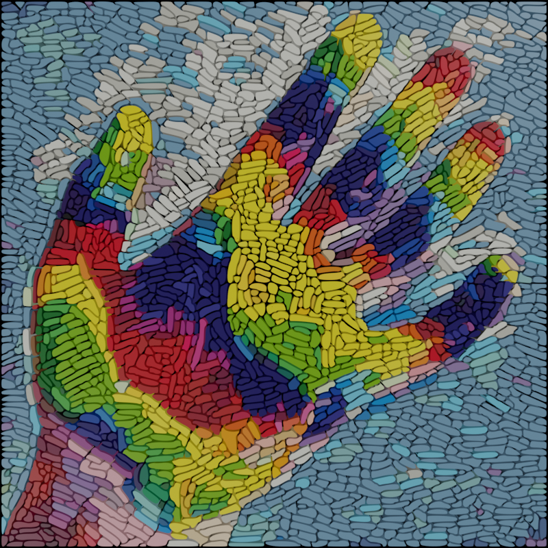 We are all walking mosaics of genetically distinct cells. 

Every cell acquires around one mutation each division after fertilization, resulting in a vast amount of genetic diversity across all the cells in our bodies by the time we are born.