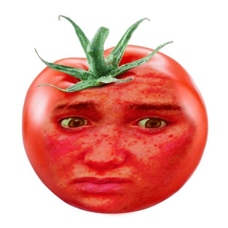 Tomate williams