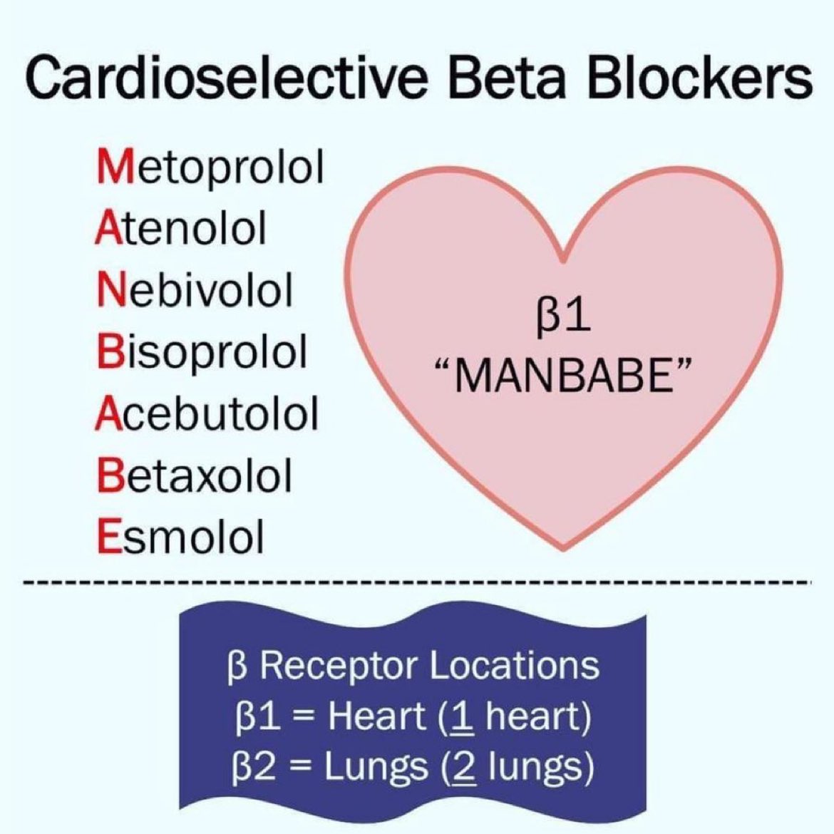 Cardioselective Beta Blockers.