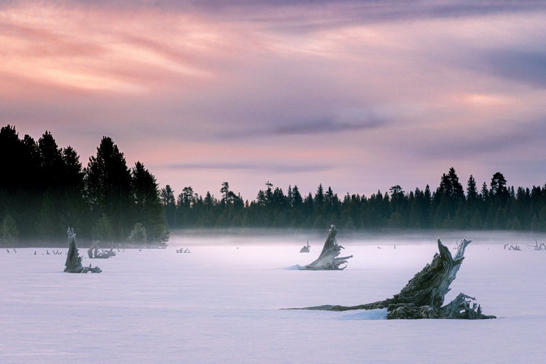 Desolate Dawn - Winter morning on McCoy Flat in Lassen County California

In my Etsy shop:
buff.ly/49bNa9r 

Prints and merch on demand:
buff.ly/3RIdiT2 

#winterwonderland #pastelsky #twitternaturecommunity