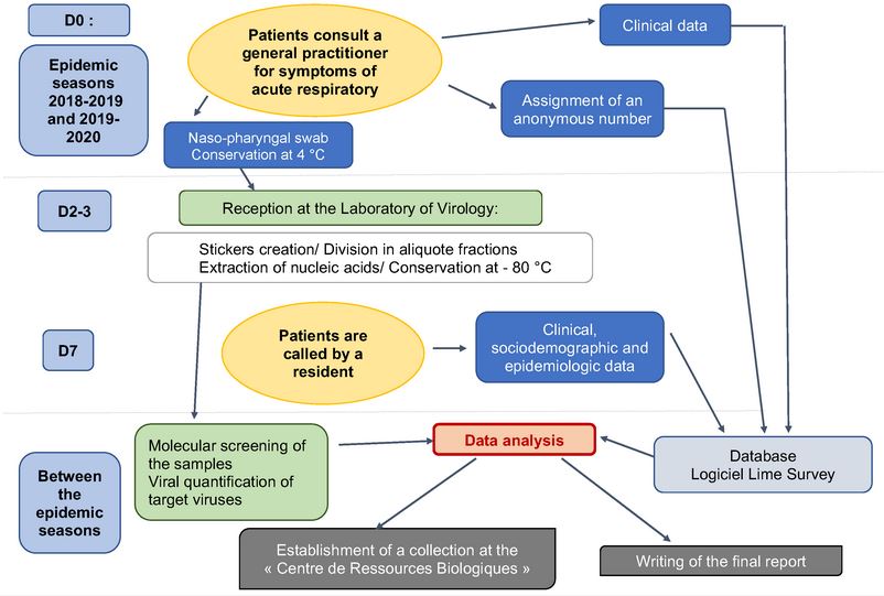 🌷Welcome to read the paper by Hortense Petat et al. | The Design and Implementation of the ECOVIR Project: A Primary #HealthCare Surveillance System to Strengthen Co-Detection of Respiratory #Viruses in Normandy 👉mdpi.com/2409-9279/5/6/… #protocol #primarycare #publichealth