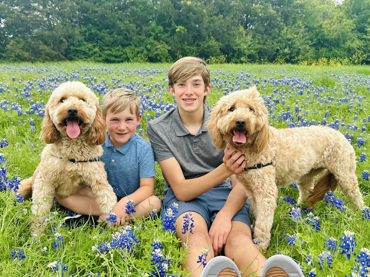 MrsBinnicker's tweet photo. Texas spring. #bluebonnets #texas #texasspring @DrBinnicker https://t.co/9K44quUr8z