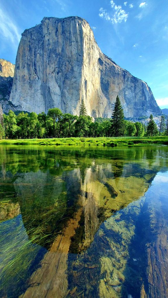Yosemite National Park 🏞️