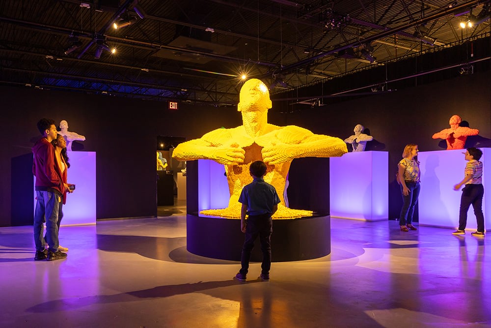 tothotornot's tweet image. 🌈 Rainbow of bricks 

Explore this latest LEGO Exhibition in Melbourne. 

tothotornot.com/art-of-the-bri… 

#LegoFun #LegoAdventure #LegoExhibition #MelbourneShowgrounds #melbournekids