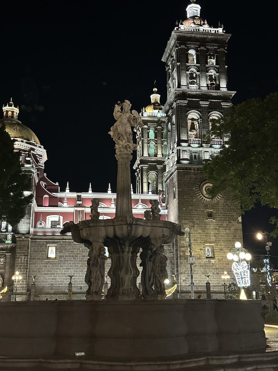 Alejandro De La Mora tweet media