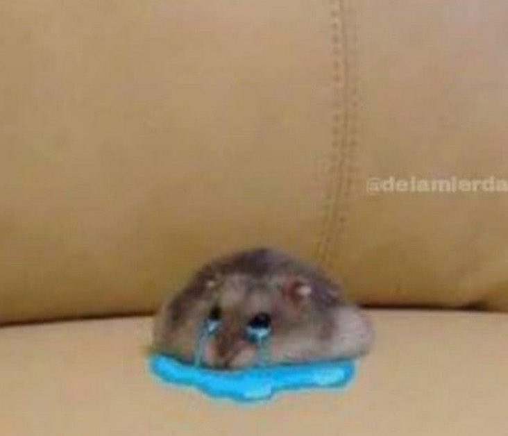 Dios no puedo escuchar la canción “pa” de tini y no ponerme a llorar, recién vi el video completo y me duelen los ojos de tanto llorar. Soy esta rata que se ahoga en sus propias lágrimas
